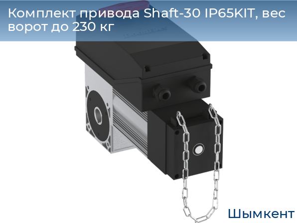 Комплект привода Shaft-30 IP65KIT, вес ворот до 230 кг, chimkent.doorhan.ru