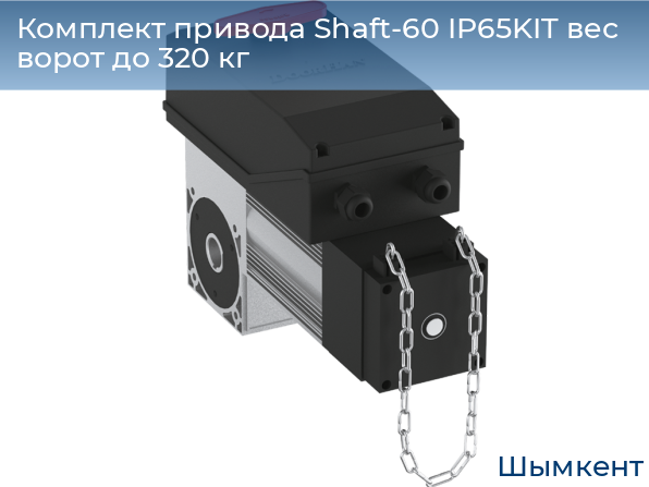 Комплект привода Shaft-60 IP65KIT вес ворот до 320 кг, chimkent.doorhan.ru