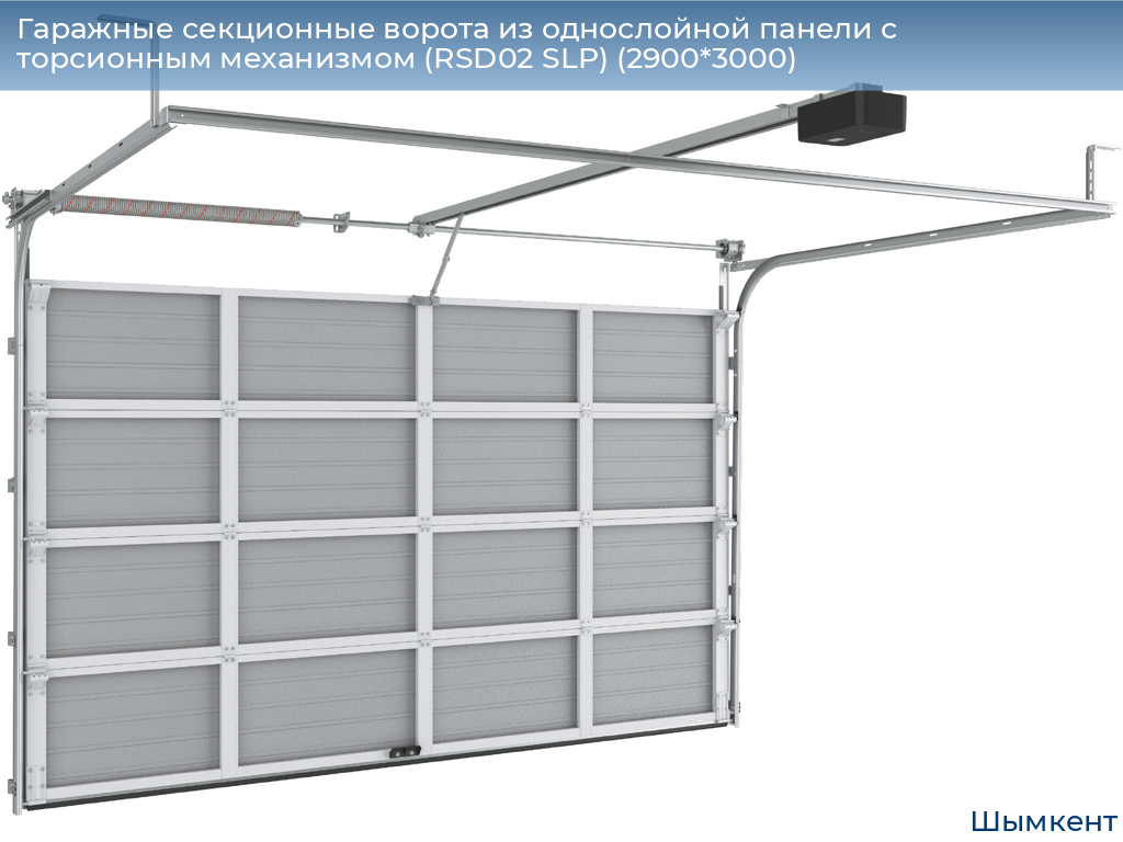 Гаражные секционные ворота из однослойной панели с торсионным механизмом (RSD02 SLP) (2900*3000), chimkent.doorhan.ru