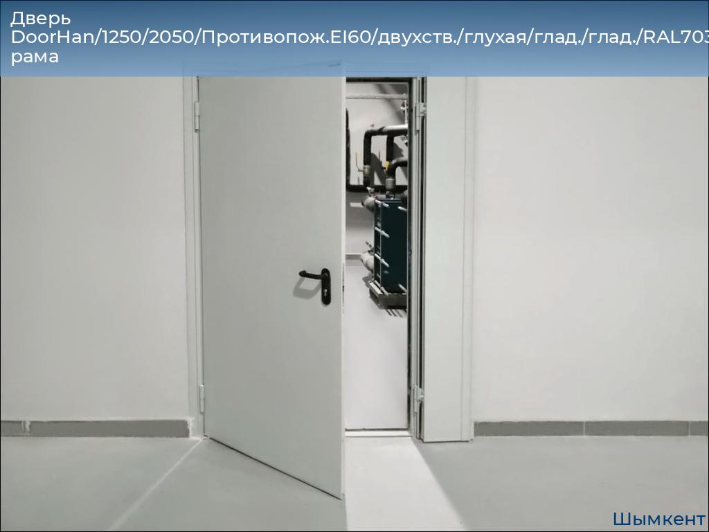 Дверь DoorHan/1250/2050/Противопож.EI60/двухств./глухая/глад./глад./RAL7035/лев./угл. рама, chimkent.doorhan.ru