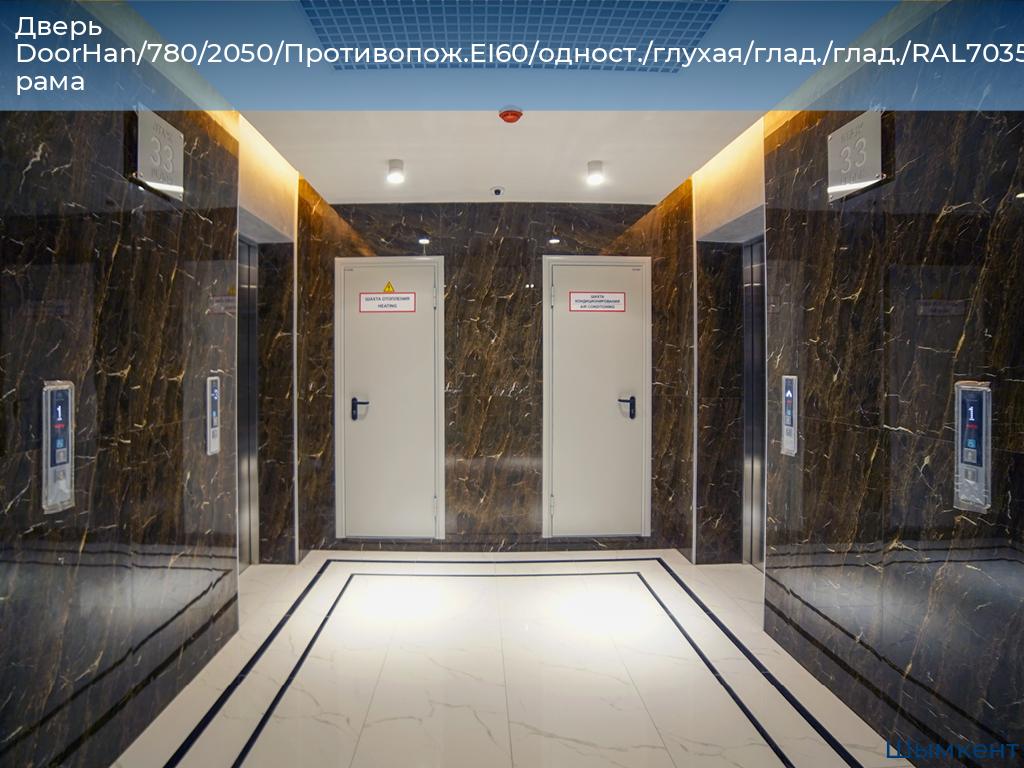 Дверь DoorHan/780/2050/Противопож.EI60/одност./глухая/глад./глад./RAL7035/лев./угл. рама, chimkent.doorhan.ru