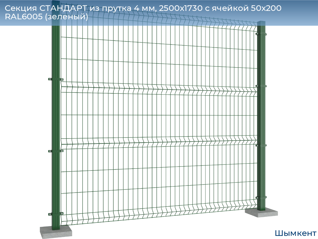 Секция СТАНДАРТ из прутка 4 мм, 2500x1730 с ячейкой 50х200 RAL6005 (зеленый) , chimkent.doorhan.ru