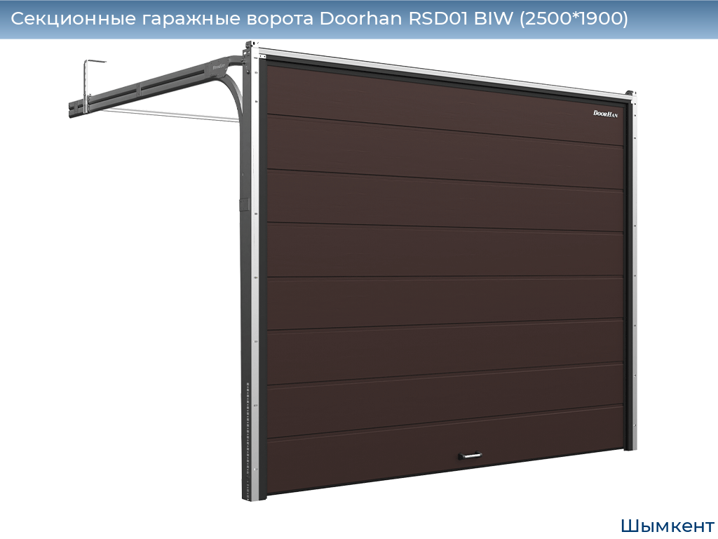Секционные гаражные ворота Doorhan RSD01 BIW (2500*1900), chimkent.doorhan.ru