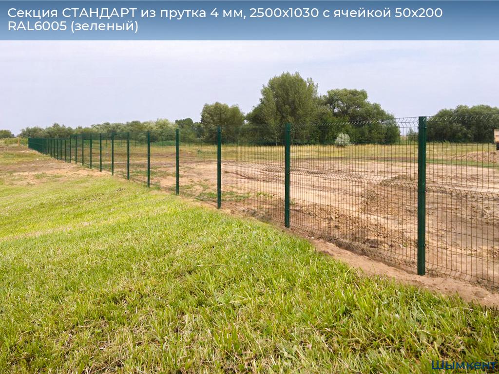 Секция СТАНДАРТ из прутка 4 мм, 2500x1030 с ячейкой 50х200 RAL6005 (зеленый), chimkent.doorhan.ru
