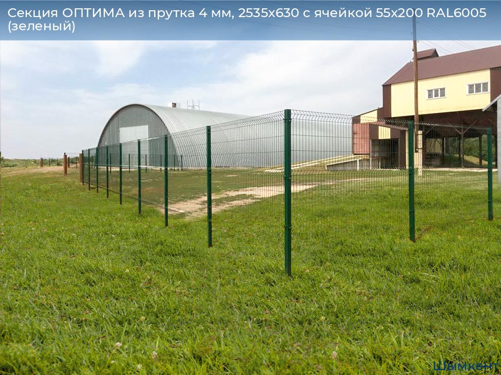 Секция ОПТИМА из прутка 4 мм, 2535x630 с ячейкой 55х200 RAL6005 (зеленый), chimkent.doorhan.ru