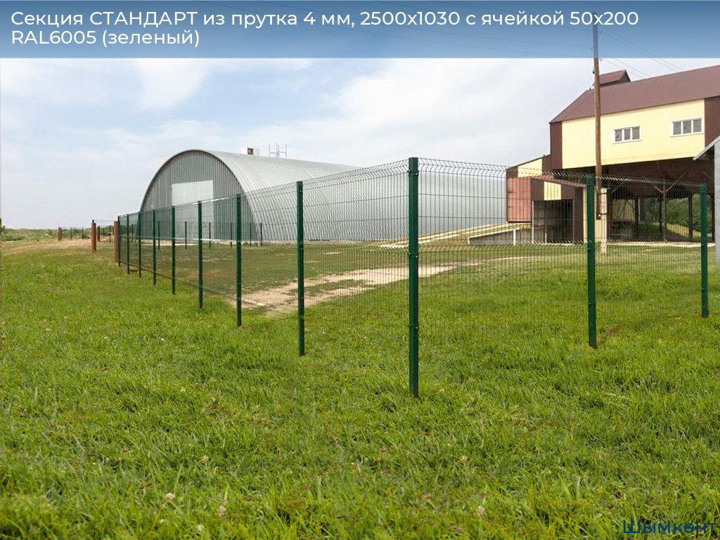 Секция СТАНДАРТ из прутка 4 мм, 2500x1030 с ячейкой 50х200 RAL6005 (зеленый), chimkent.doorhan.ru