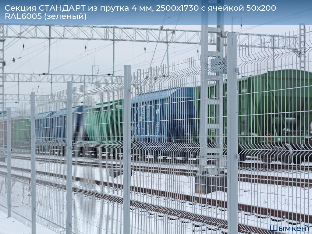 Секция СТАНДАРТ из прутка 4 мм, 2500x1730 с ячейкой 50х200 RAL6005 (зеленый) , chimkent.doorhan.ru