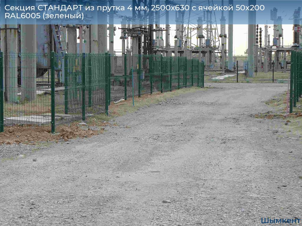 Секция СТАНДАРТ из прутка 4 мм, 2500x630 с ячейкой 50х200 RAL6005 (зеленый), chimkent.doorhan.ru