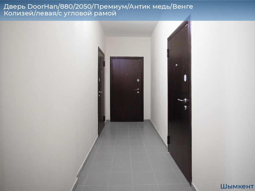 Дверь DoorHan/880/2050/Премиум/Антик медь/Венге Колизей/левая/с угловой рамой, chimkent.doorhan.ru