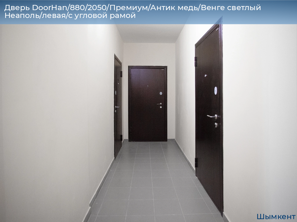 Дверь DoorHan/880/2050/Премиум/Антик медь/Венге светлый Неаполь/левая/с угловой рамой, chimkent.doorhan.ru